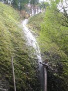 11.11.06 Waukeena Multnomah Falls 024 